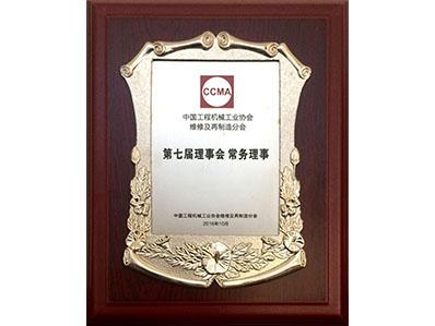 中国工程机械工业协会常务理事